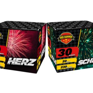 Herz Schlag